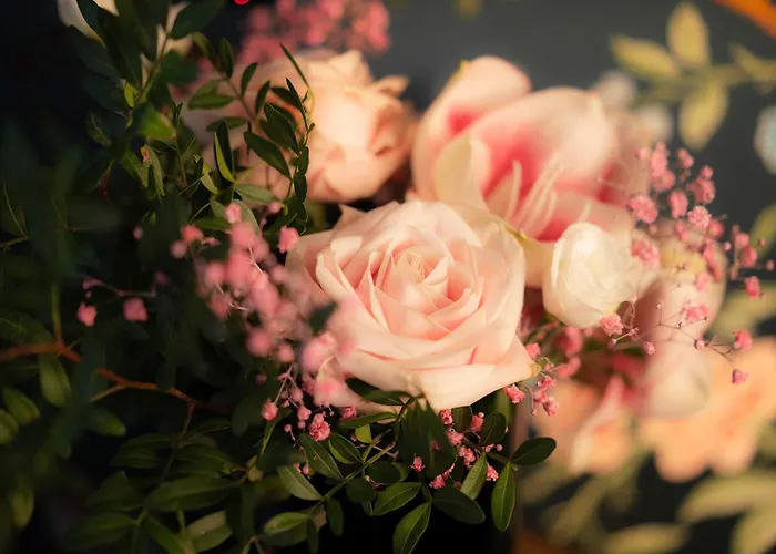 Maison Proust, & La Hotel